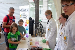 2023-07-01_Stadtfest-Wels_3000-23