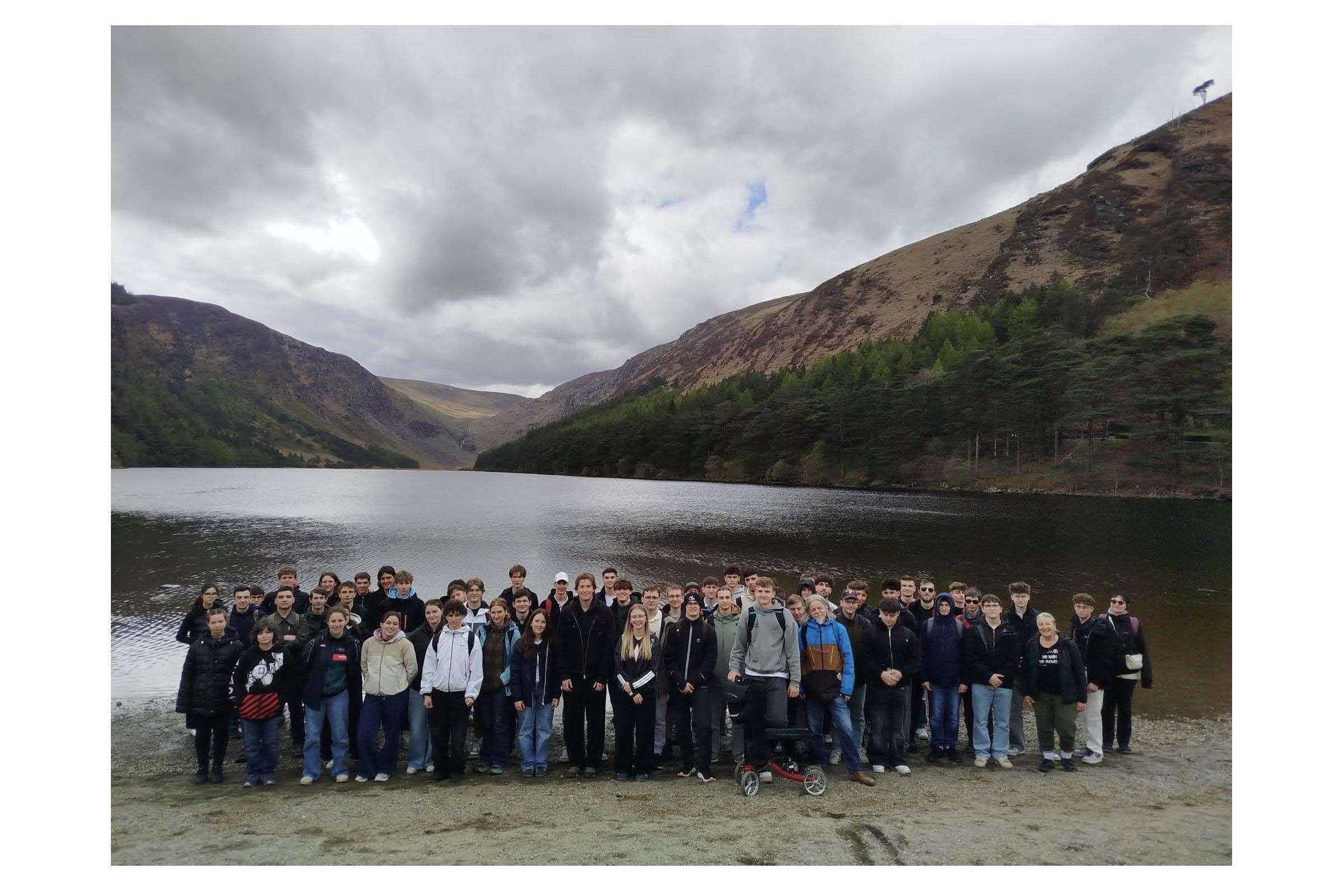 A Buzzing Trip to Ireland